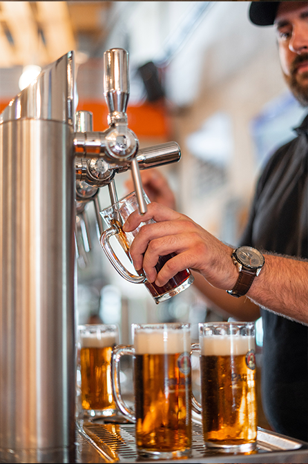 chope et compagnie Avignon