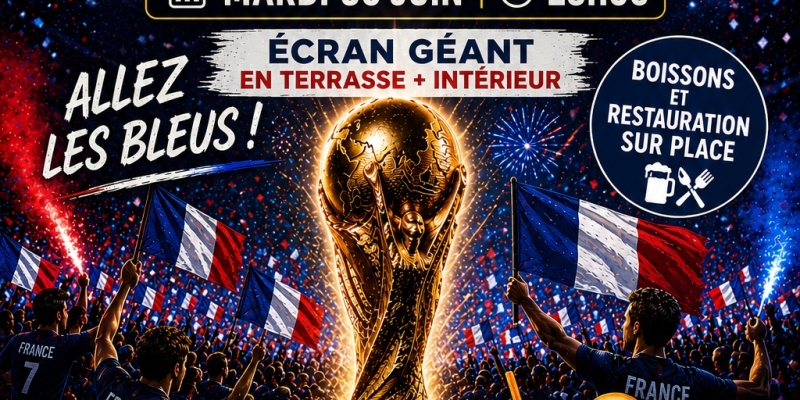 France - Suède  1/16e finale coupe du monde 