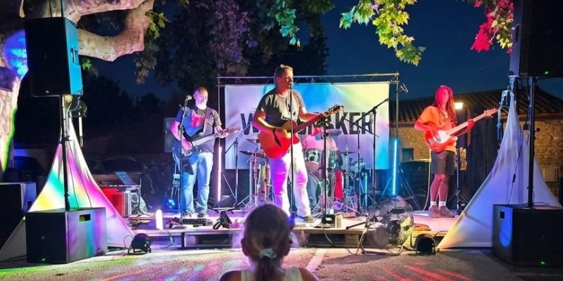 Concert Live Windshaker