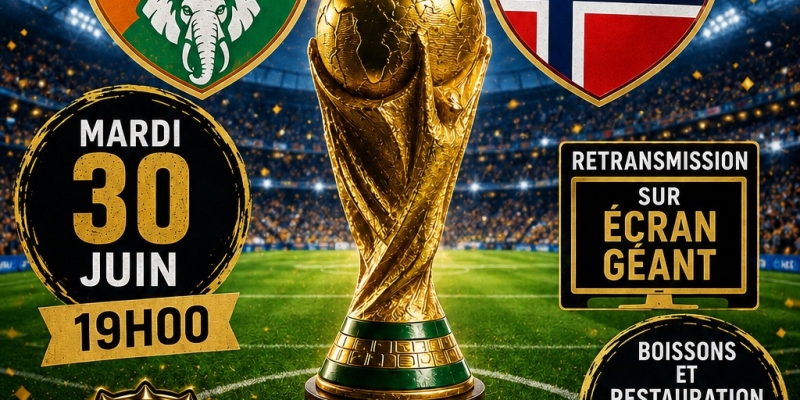 Côte d'Ivoire - Norvège    1/16e finale coupe du monde 