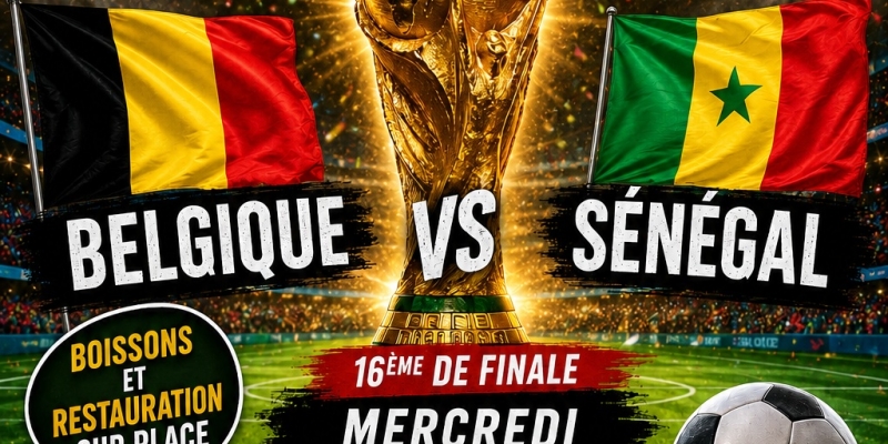 Belgique - Sénégal     1/16e finale coupe du monde 
