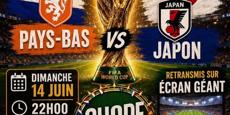 Match Coupe du Monde Football - Pays Bas / Japon